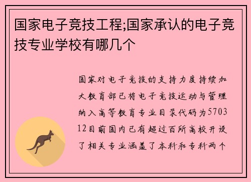 国家电子竞技工程;国家承认的电子竞技专业学校有哪几个